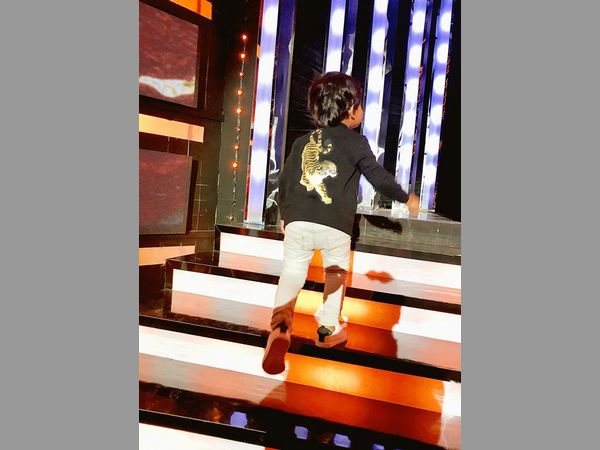 బుల్లి టైగర్