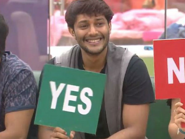 ప్రిన్స్ గోడమీద పిల్లి