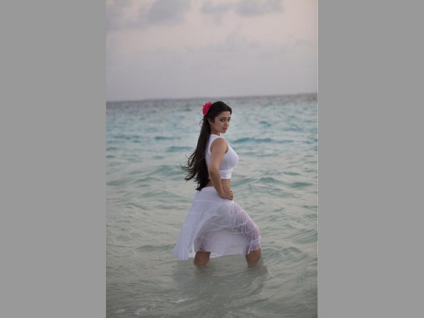 లిఖితపూర్వక అనుమతి