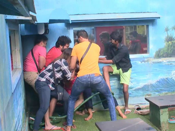 ఎగ్ టాస్క్