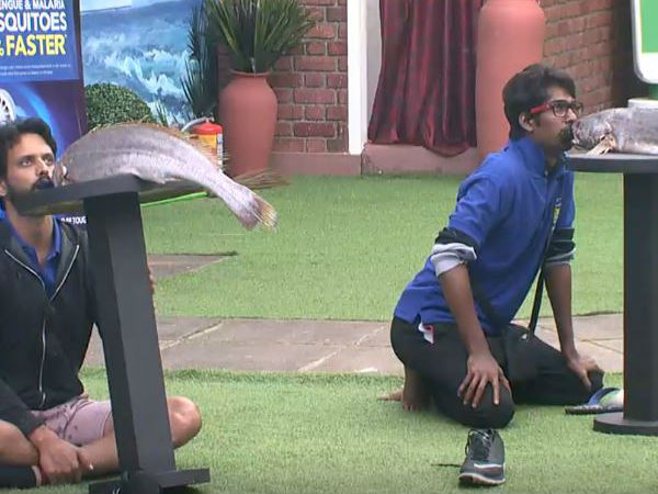 విచిత్రమైన టాస్క్‌లు