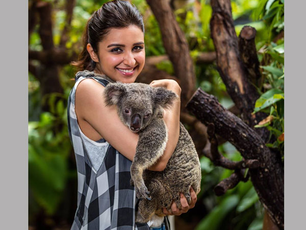 పరిణితి ఎదపై చెయ్యి