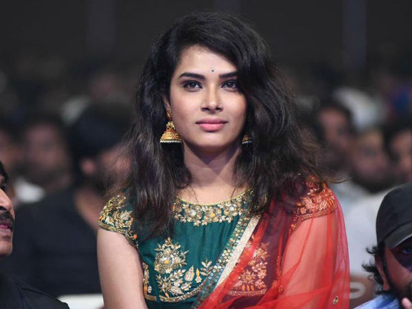 ప్రభుత్వ ఉత్సవంలా లేదు, కాలేజీ ఫంక్షన్ లా ఉంది..