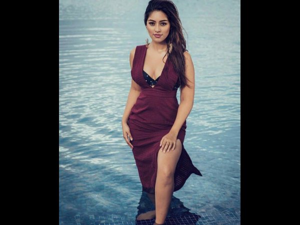 మలయాళ చిత్రంలో