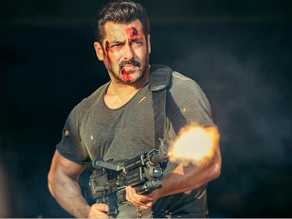 సల్మాన్ ఖాన్ కెరీర్ లోనే భారీ బడ్జెట్ చిత్రం