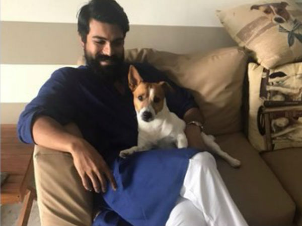  ఫ్యాన్స్ ఫిదా