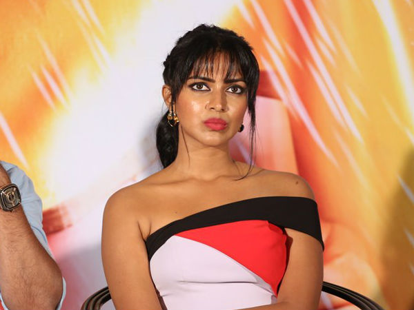 దొంగోడొచ్చాడు