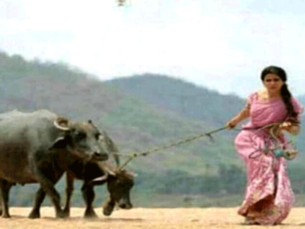  సోషల్ మీడియాలో సమంత ఫొటోలు 