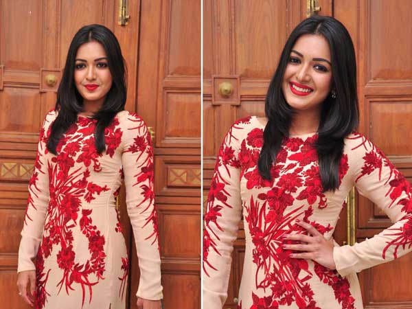 తెలుగు అబ్బాయిని