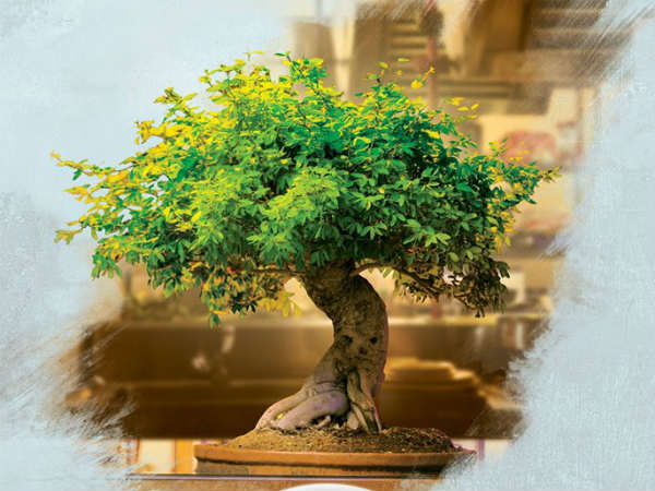 హీరో నాని నిర్మాతగా