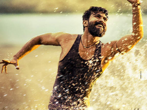 మెగాస్టార్ సినిమాతో లింకు: