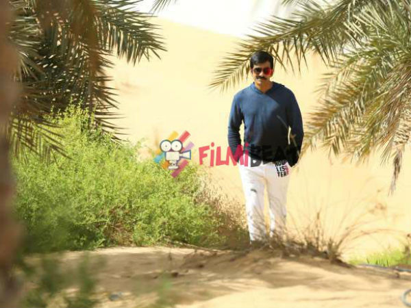 మాస్ మహారాజా ఇమేజ్‌కు తగినట్టుగా