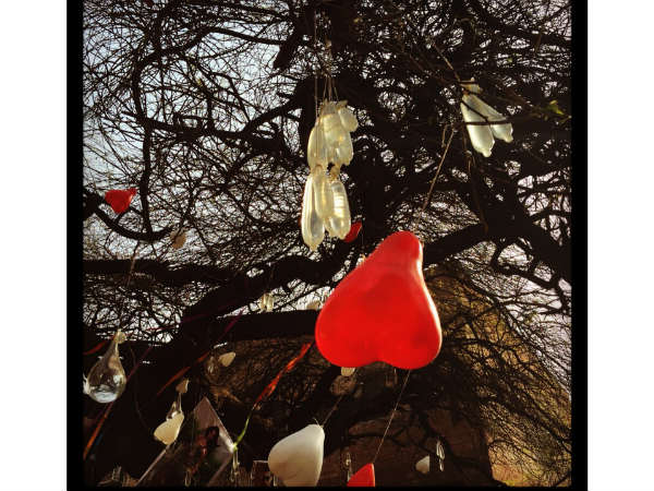 బ్యాచ్‌లర్ లైఫ్‌ ముగుస్తుందని..