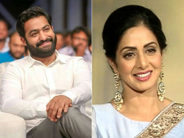 జూ ఎన్టీఆర్ మైండ్‌లో ఆమె ఫిక్స్