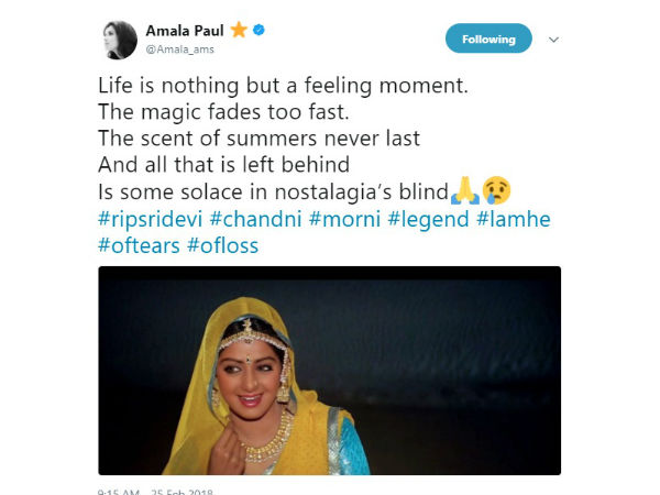 అమలా పాల్