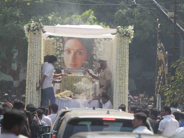 సినీ ప్రముఖుల రాక