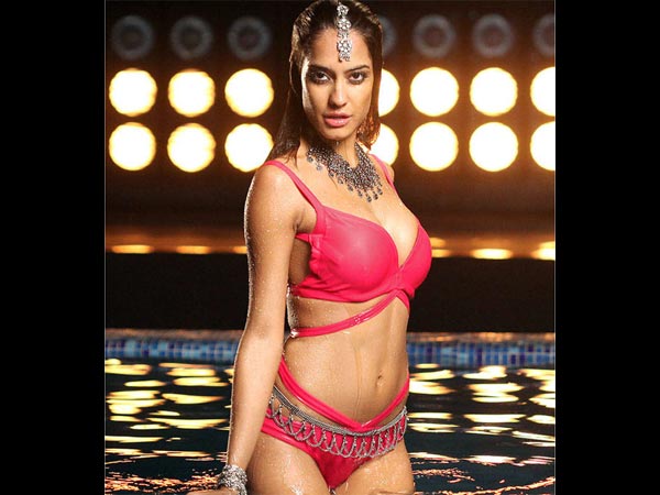 బాలీవుడ్‌లోకి 2010లో