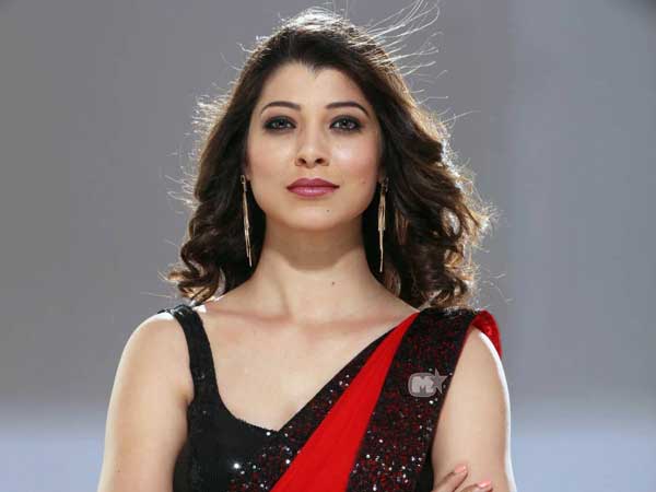 దుమ్ము దులిపింది