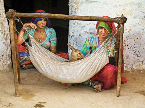 షూటింగ్ సందర్భంగా కృష్ణ జింకల వేట 