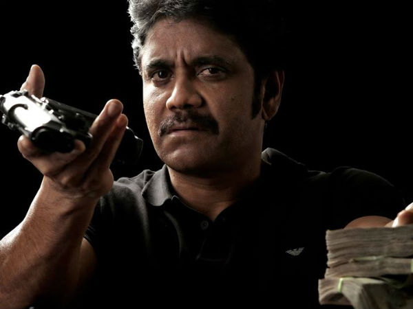 నాగార్జున సినిమాని టార్గెట్ చేసిన ఫాన్స్ 