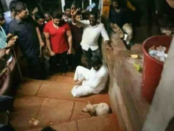 కుక్క, చెత్తకుప్ప పక్కనే కూర్చున్న పవర్ స్టార్