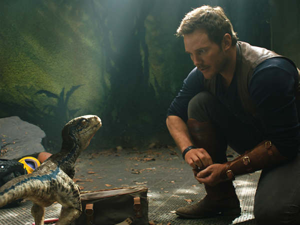 క్రిటిక్స్‌ను ఆకట్టుకోని వైనం