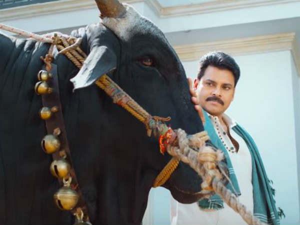 తిరుగులేదు