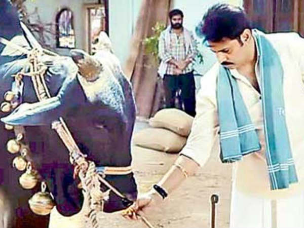 ఒకే తల్లికి