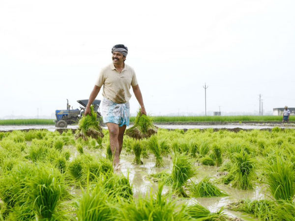 పూర్తిగా తమిళ ప్లేవర్ 
