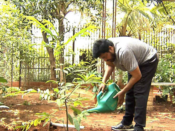 Megastar Chiranjeevi participated in HarithaHaram 