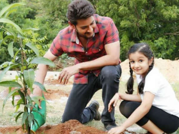 టాలీవుడ్లో ట్రెండింగ్