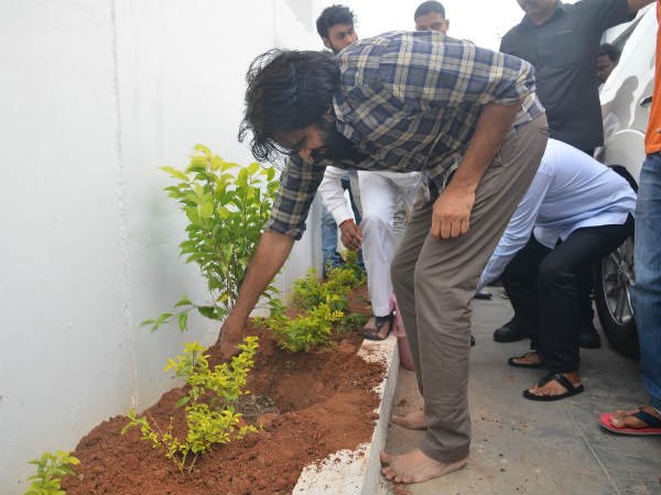 జనసేన కార్యాలయంలో మొక్కలు నాటిన పవర్ స్టార్