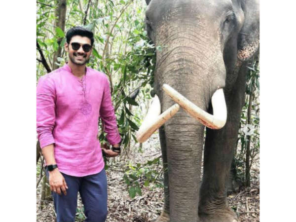 జంతుప్రేమికుల మండిపాటు 