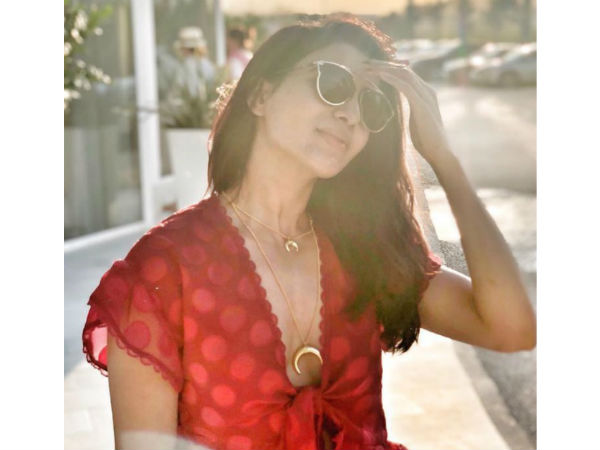  మరికొందరి నుండి ప్రశంసలు