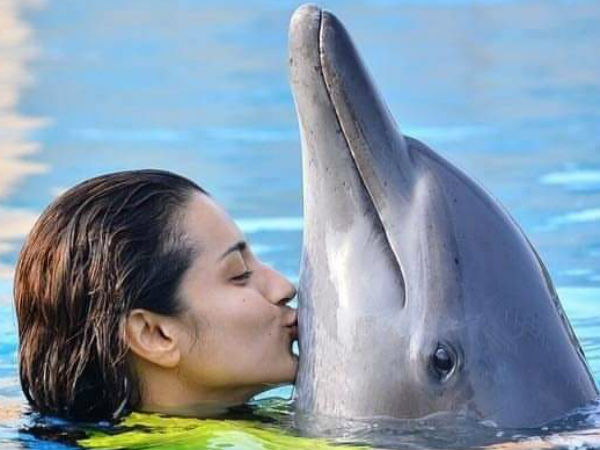 విదేశాల్లో హల్ చల్ 