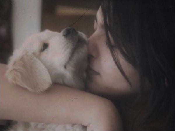  పెళ్లి కబురు 