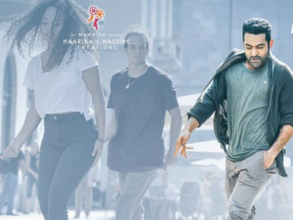  పార్టీ ఏదైనా మేము నందమూరి అభిమానులమే