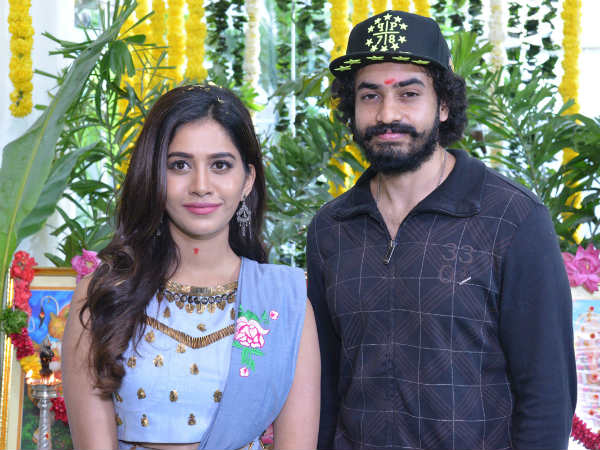 నభా నటేష్ హీరోయిన్