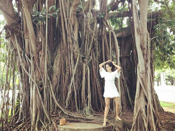 త్వరలో కిమ్-హర్షవర్దన్ పెళ్లి?