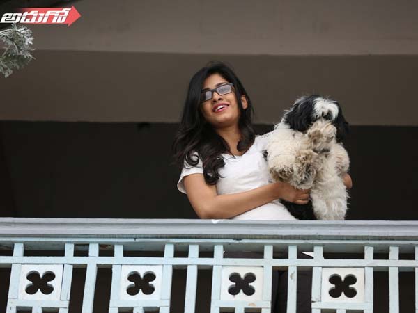 చిక్కులు ముడులు సమాధానం