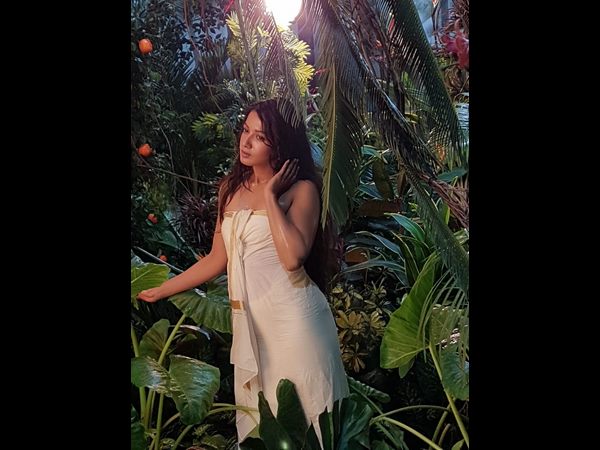 పామోలివ్‌కు బ్రాండ్ అంబాసిడర్‌గా