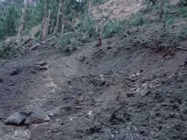 తిరుగులేని ప్రతీకారం