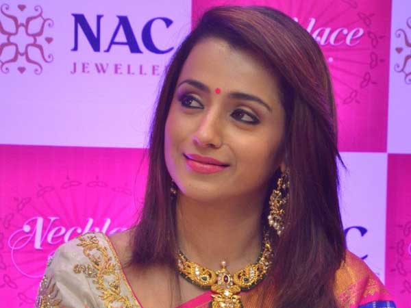 కెరీర్‌పైనే త్రిషా దృష్టి