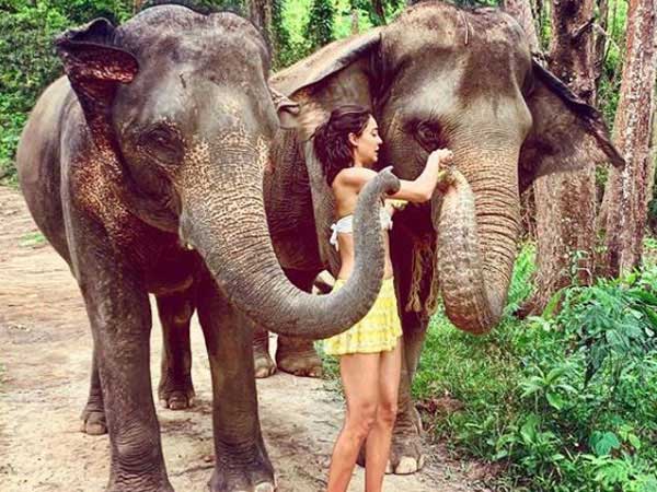 లీసా హెడెన్