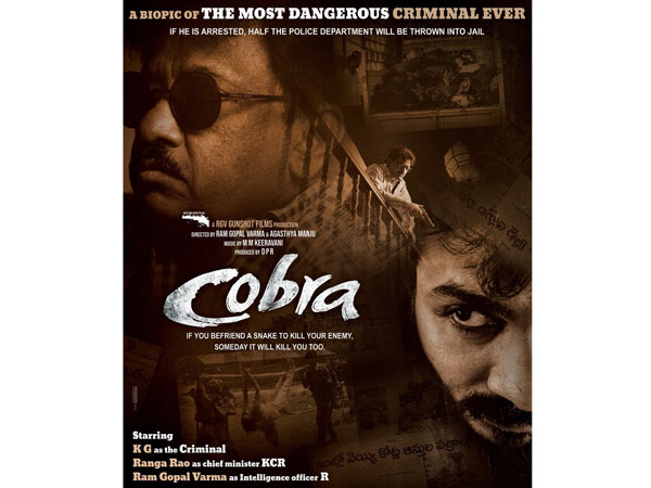  కోబ్రా స్టోరీ ఇదే