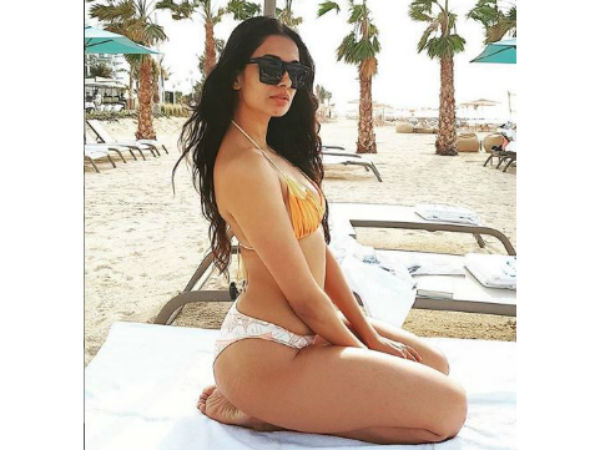 అంతంత మాత్రంగానే సినిమా కెరీర్