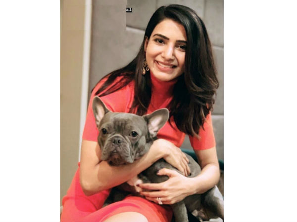  విహారయాత్రకు వెళ్లొచ్చిన సమంత దంపతులు