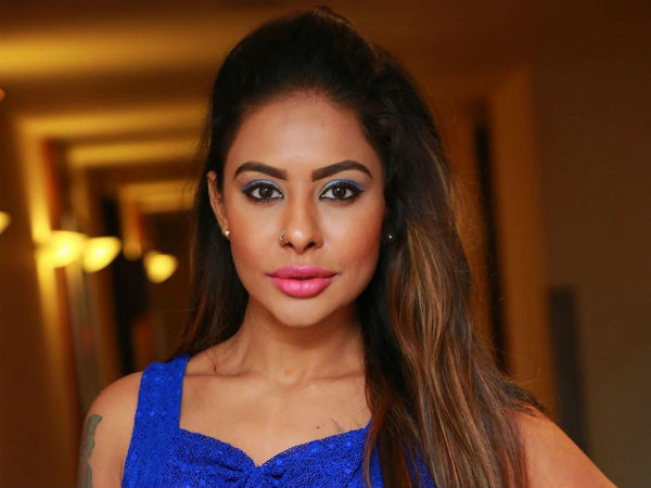 శ్రీరెడ్డి ఇక ఆపదా?