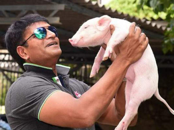 రీసెంట్‌గా పందితో సినిమా..