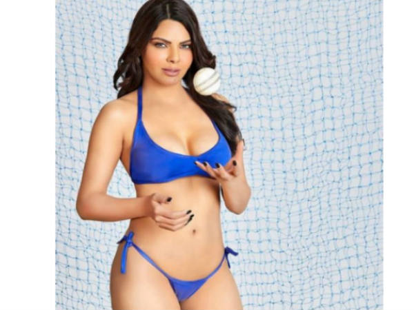 క్రికెట్ బాల్ పట్టుకుని